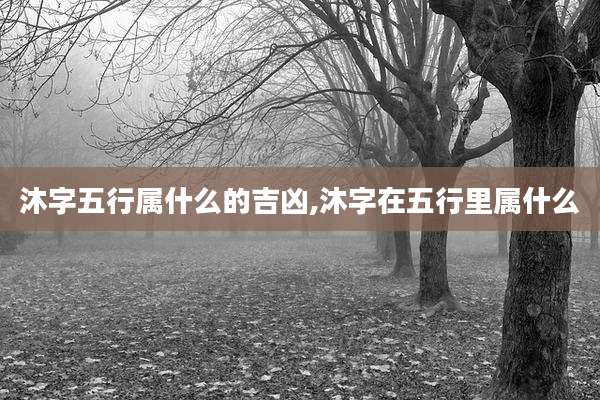 沐字五行属什么的吉凶,沐字在五行里属什么