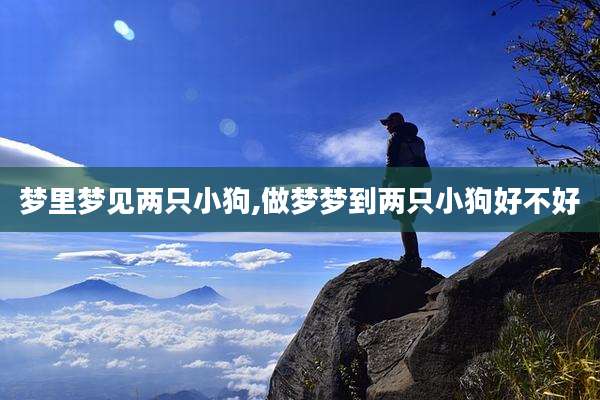梦里梦见两只小狗,做梦梦到两只小狗好不好