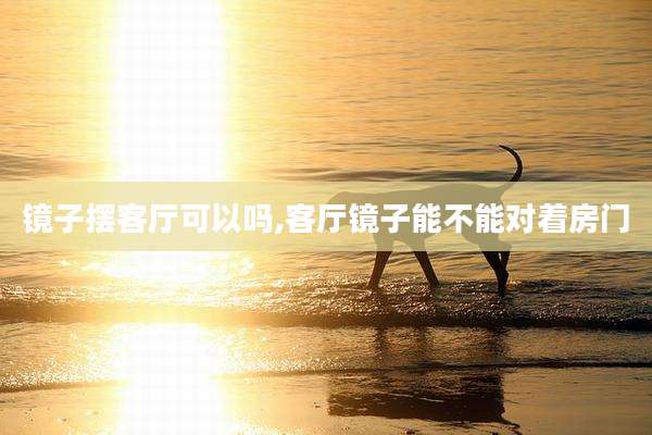 镜子摆客厅可以吗,客厅镜子能不能对着房门