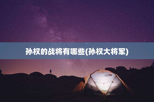 孙权的战将有哪些(孙权大将军)