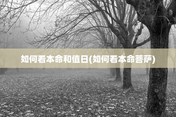 如何看本命和值日(如何看本命菩萨)