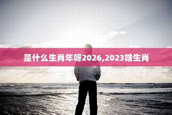 是什么生肖年呀2026,2023啥生肖