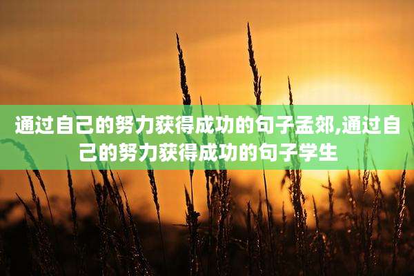 通过自己的努力获得成功的句子孟郊,通过自己的努力获得成功的句子学生