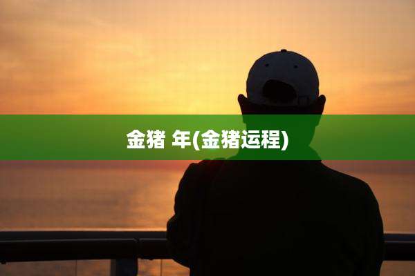 金猪 年(金猪运程)