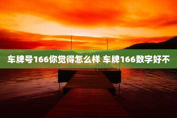 车牌号166你觉得怎么样 车牌166数字好不