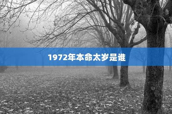 1972年本命太岁是谁
