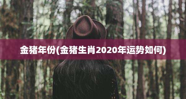 金猪年份(金猪生肖2020年运势如何)