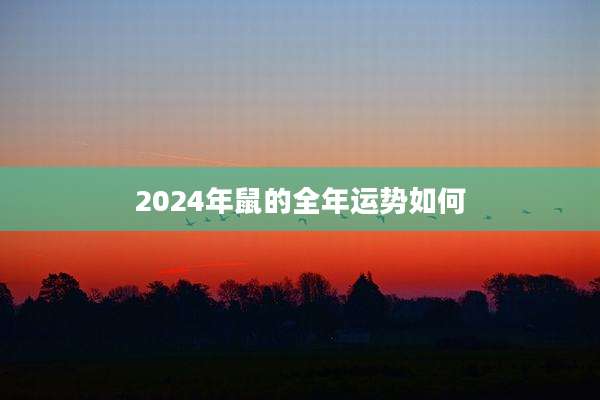 2024年鼠的全年运势如何