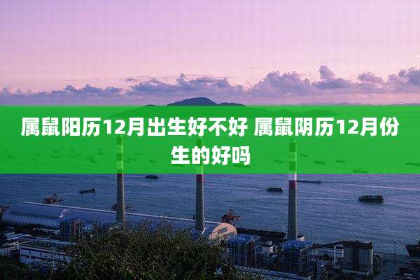属鼠阳历12月出生好不好 属鼠阴历12月份生的好吗
