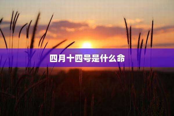 四月十四号是什么命