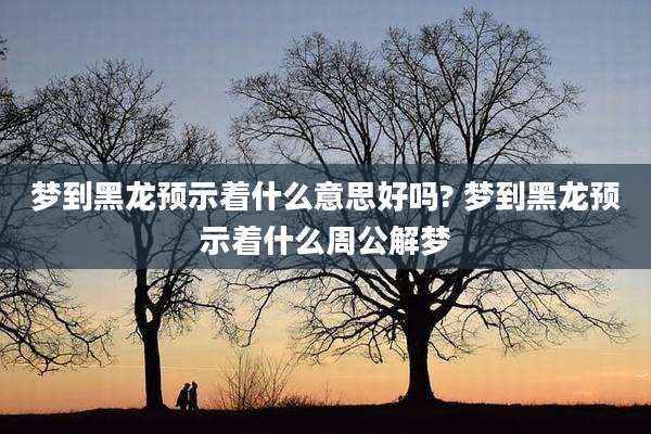 梦到黑龙预示着什么意思好吗? 梦到黑龙预示着什么周公解梦