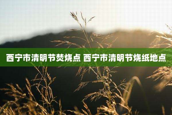 西宁市清明节焚烧点 西宁市清明节烧纸地点