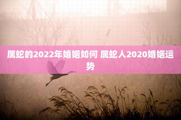 属蛇的2022年婚姻如何 属蛇人2020婚姻运势
