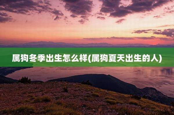 属狗冬季出生怎么样(属狗夏天出生的人)