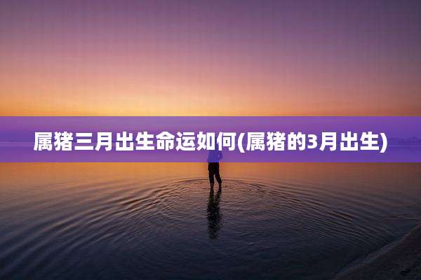 属猪三月出生命运如何(属猪的3月出生)