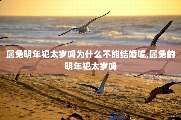 属兔明年犯太岁吗为什么不能结婚呢,属兔的明年犯太岁吗