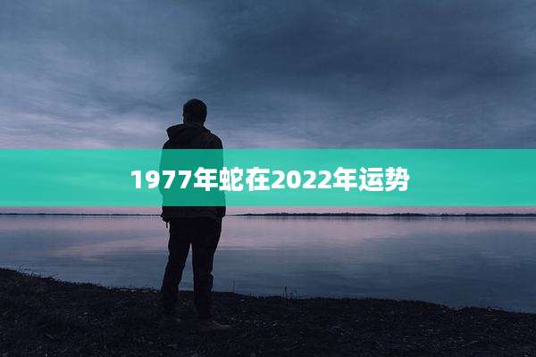 1977年蛇在2022年运势