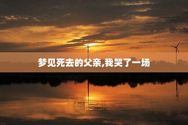 梦见死去的父亲,我哭了一场