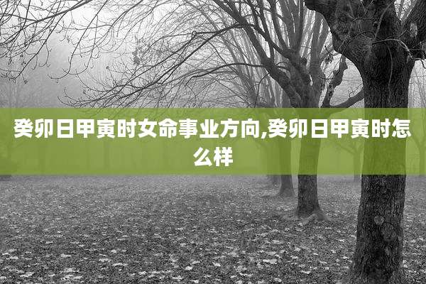 癸卯日甲寅时女命事业方向,癸卯日甲寅时怎么样