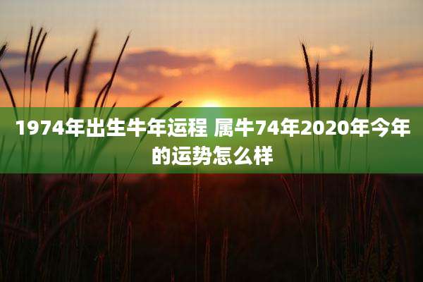 1974年出生牛年运程 属牛74年2020年今年的运势怎么样