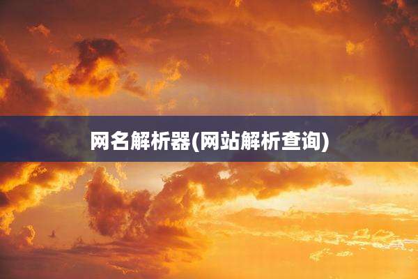 网名解析器(网站解析查询)