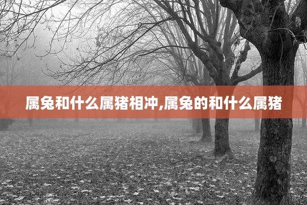 属兔和什么属猪相冲,属兔的和什么属猪