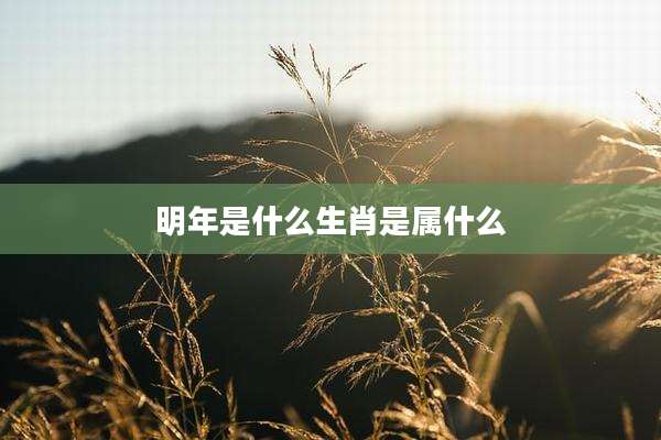 明年是什么生肖是属什么