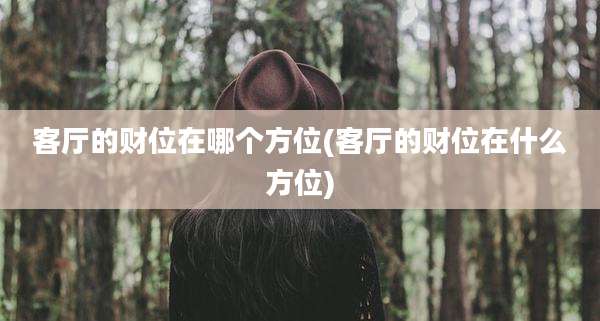 客厅的财位在哪个方位(客厅的财位在什么方位)