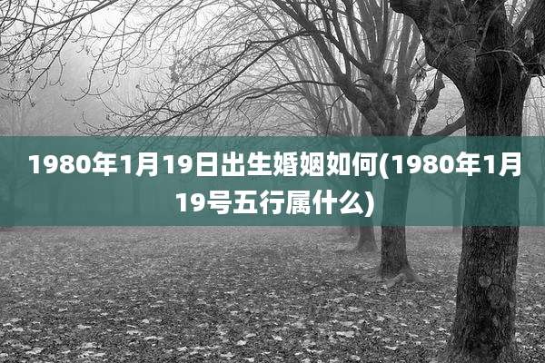 1980年1月19日出生婚姻如何(1980年1月19号五行属什么)