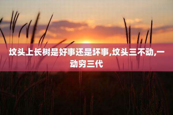 坟头上长树是好事还是坏事,坟头三不动,一动穷三代