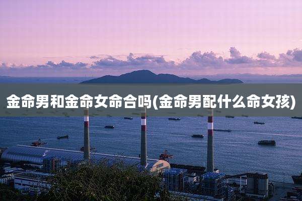 金命男和金命女命合吗(金命男配什么命女孩)