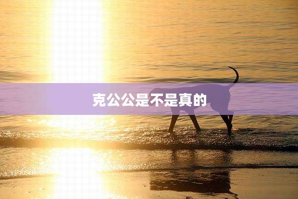 克公公是不是真的