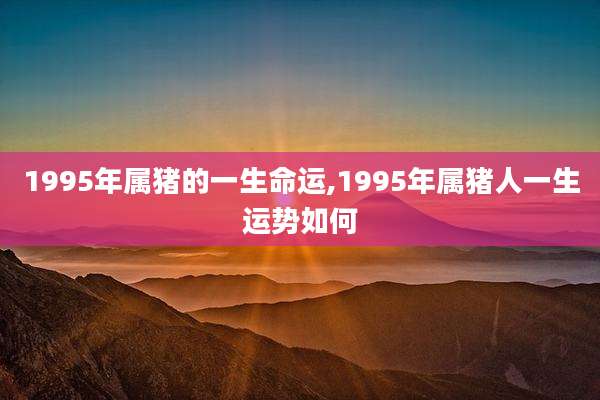 1995年属猪的一生命运,1995年属猪人一生运势如何