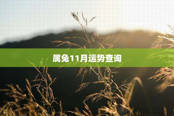 属兔11月运势查询