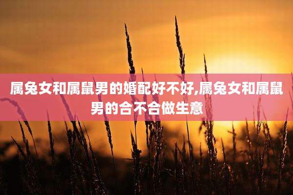 属兔女和属鼠男的婚配好不好,属兔女和属鼠男的合不合做生意