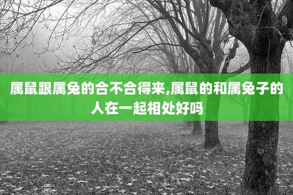 属鼠跟属兔的合不合得来,属鼠的和属兔子的人在一起相处好吗