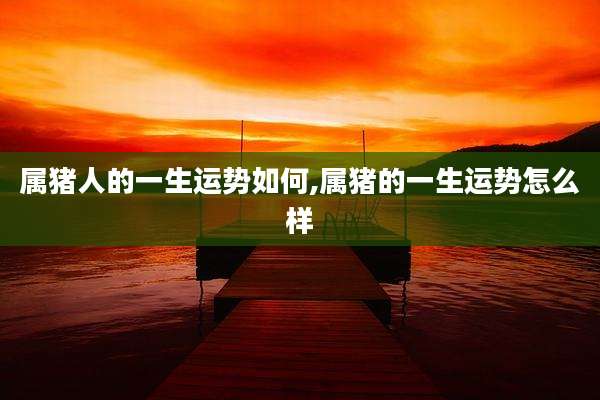 属猪人的一生运势如何,属猪的一生运势怎么样