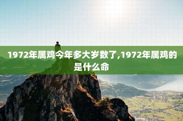 1972年属鸡今年多大岁数了,1972年属鸡的是什么命