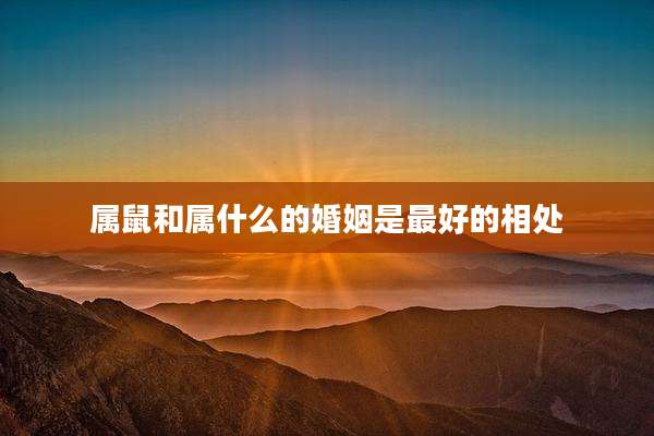 属鼠和属什么的婚姻是最好的相处