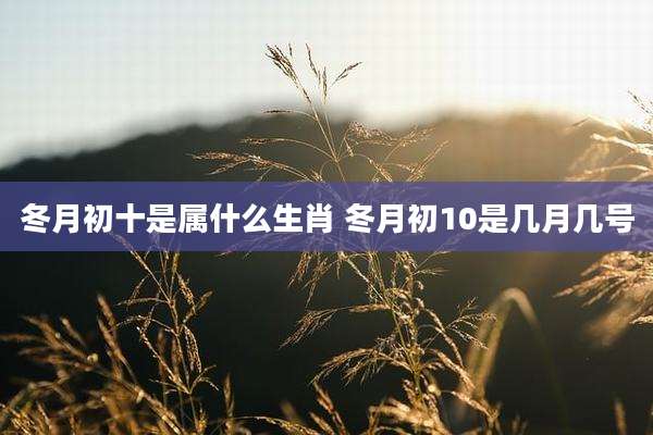 冬月初十是属什么生肖 冬月初10是几月几号