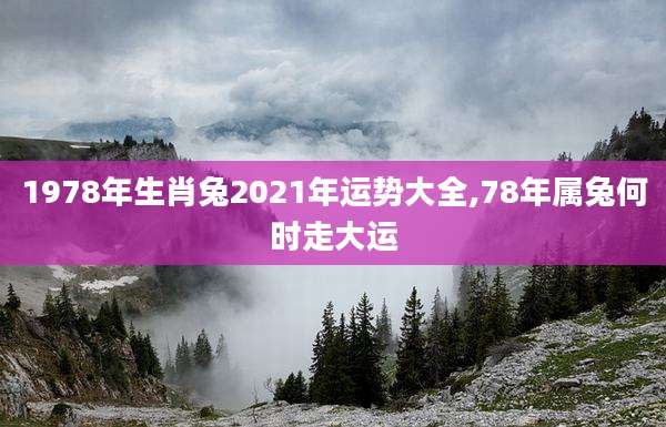 1978年生肖兔2021年运势大全,78年属兔何时走大运