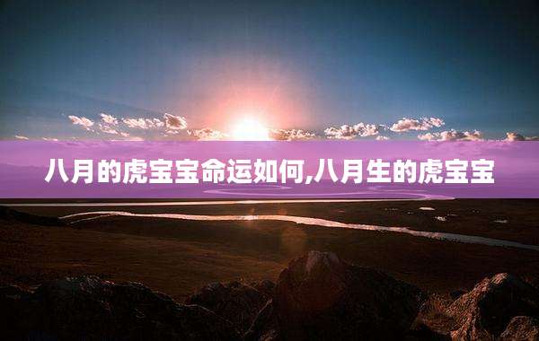 八月的虎宝宝命运如何,八月生的虎宝宝