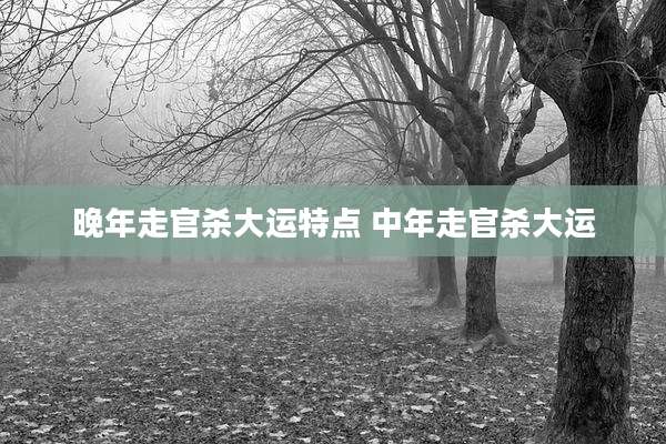 晚年走官杀大运特点 中年走官杀大运