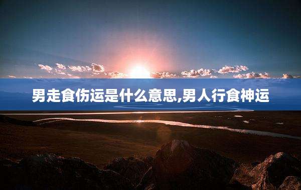 男走食伤运是什么意思,男人行食神运