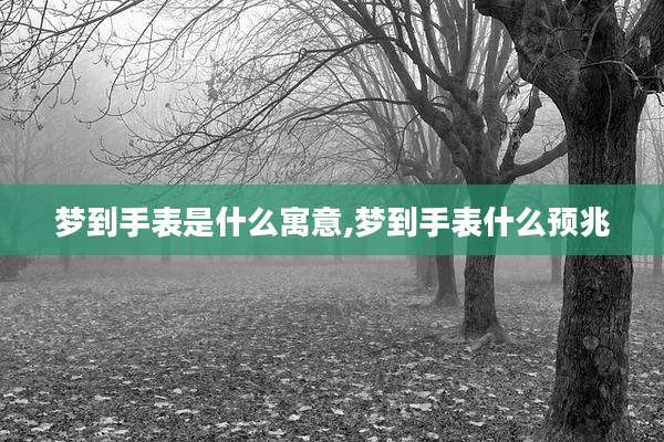 梦到手表是什么寓意,梦到手表什么预兆