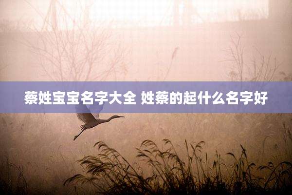 蔡姓宝宝名字大全 姓蔡的起什么名字好