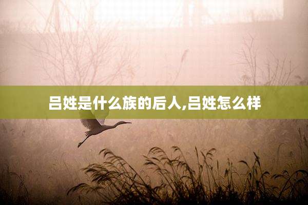 吕姓是什么族的后人,吕姓怎么样