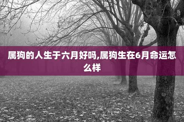 属狗的人生于六月好吗,属狗生在6月命运怎么样
