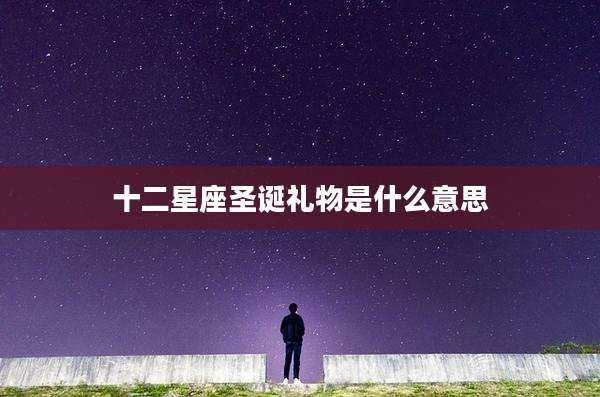 十二星座圣诞礼物是什么意思