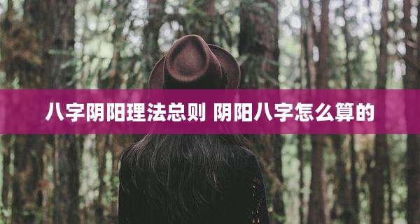 八字阴阳理法总则 阴阳八字怎么算的